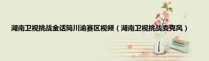 湖南卫视挑战金话筒川渝赛区视频（湖南卫视挑战麦克风）