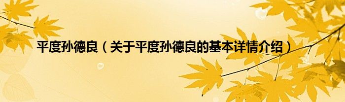 平度孙德良（关于平度孙德良的基本详情介绍）