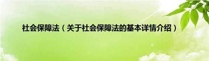 社会保障法(关于社会保障法的基本详情介绍)