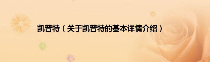 凯普特（关于凯普特的基本详情介绍）