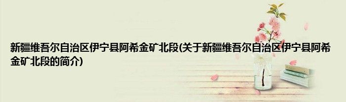 新疆维吾尔自治区伊宁县阿希金矿北段(关于新疆维吾尔自治区伊宁县阿希金矿北段的简介)