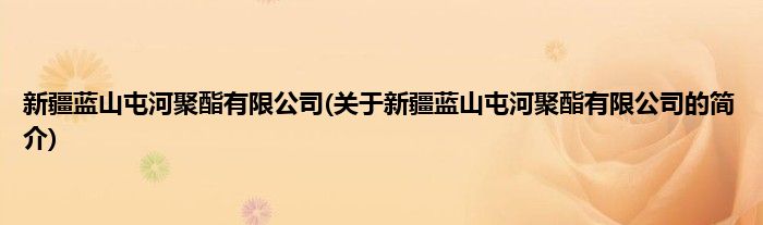 新疆蓝山屯河聚酯有限公司(关于新疆蓝山屯河聚酯有限公司的简介)