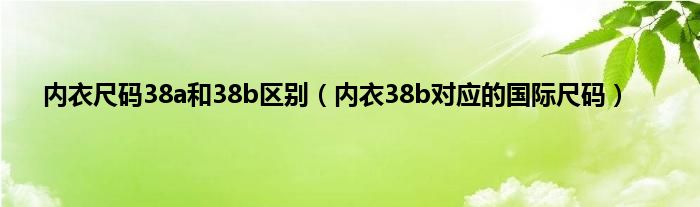内衣尺码38a和38b区别（内衣38b对应的国际尺码）