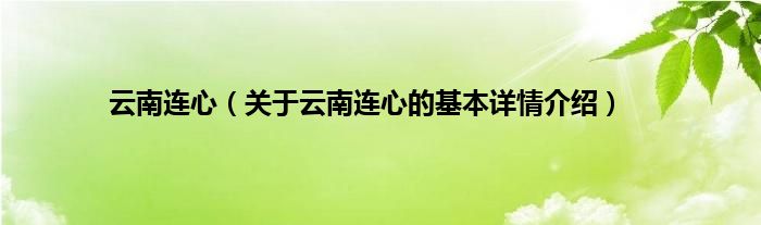 云南连心（关于云南连心的基本详情介绍）