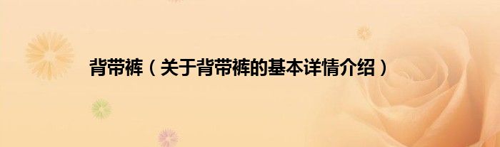 背带裤（关于背带裤的基本详情介绍）