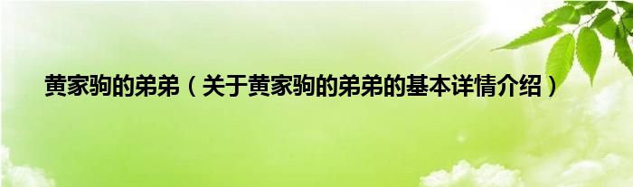 黄家驹的弟弟（关于黄家驹的弟弟的基本详情介绍）