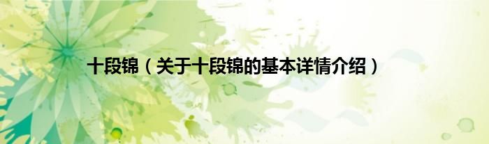 十段锦（关于十段锦的基本详情介绍）