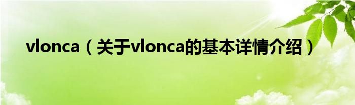 vlonca(关于vlonca的基本详情介绍)