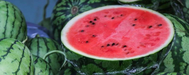 西瓜的原产地是沙漠吗