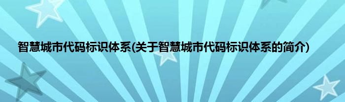 智慧城市代码标识体系(关于智慧城市代码标识体系的简介)