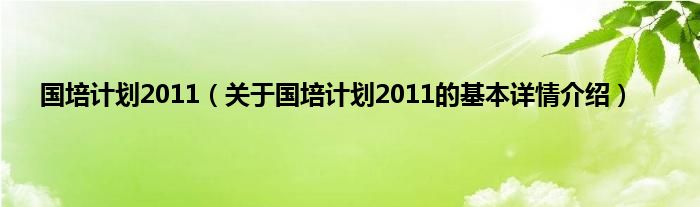 国培计划2011（关于国培计划2011的基本详情介绍）