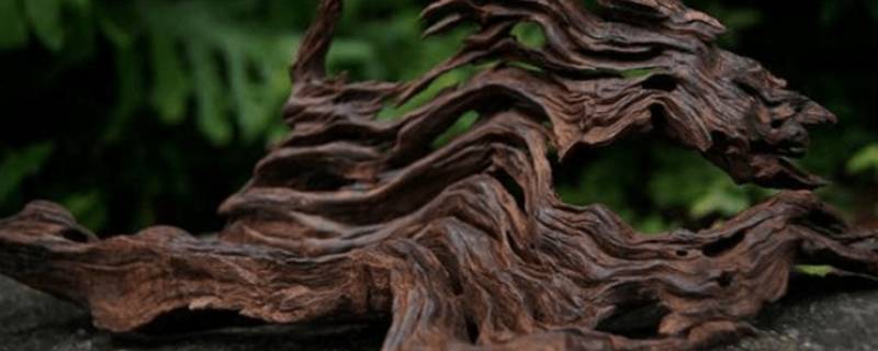 打开过滤能加速沉木黄水吗