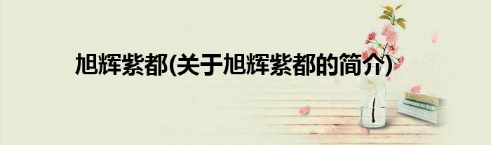 旭辉紫都(关于旭辉紫都的简介)