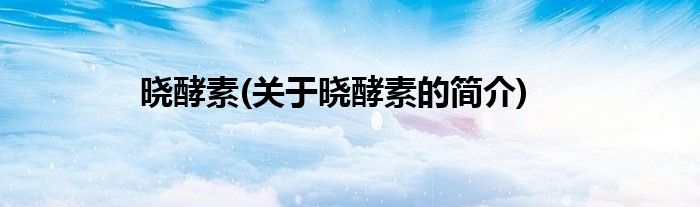 晓酵素(关于晓酵素的简介)