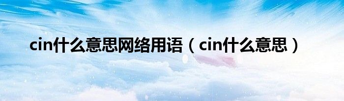 cin什么意思网络用语（cin什么意思）