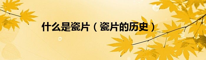 什么是瓷片（瓷片的历史）