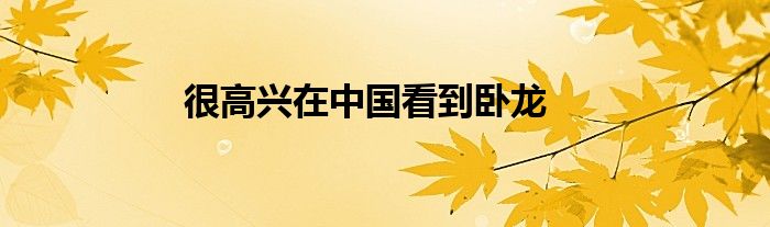 很高兴在中国看到卧龙