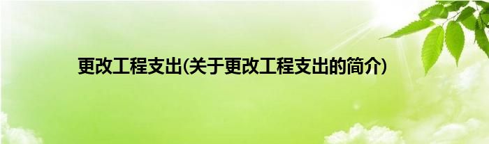 更改工程支出(关于更改工程支出的简介)