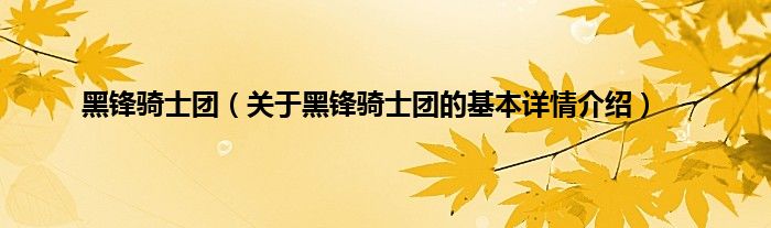 黑锋骑士团（关于黑锋骑士团的基本详情介绍）