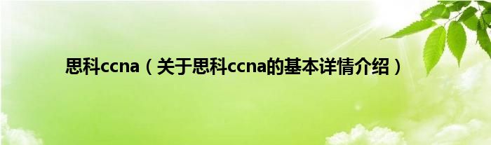 思科ccna（关于思科ccna的基本详情介绍）