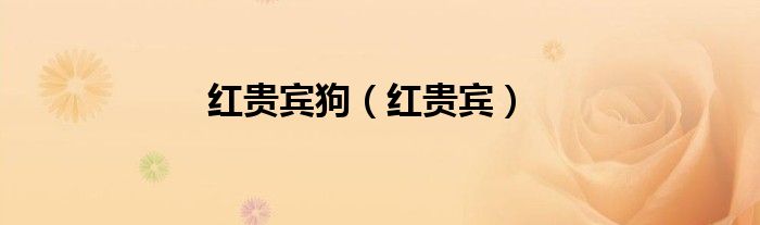 红贵宾狗（红贵宾）