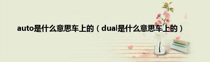 auto是什么意思车上的（dual是什么意思车上的）