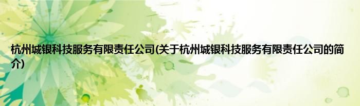 杭州城银科技服务有限责任公司(关于杭州城银科技服务有限责任公司的简介)