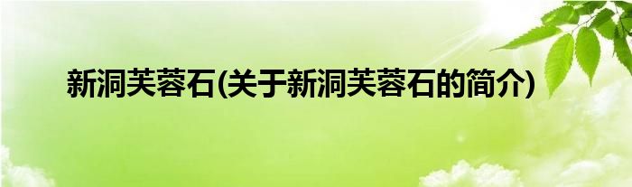 新洞芙蓉石(关于新洞芙蓉石的简介)