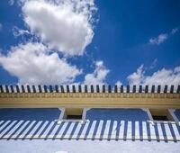 王凤仪教授的人物简介？