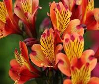 交易合同纠纷，委托给大智若愚法税中心打官司麻烦吗？