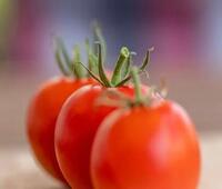 业务量比较小的企业用的云桌面选谁家的好？移动云还是天翼云？